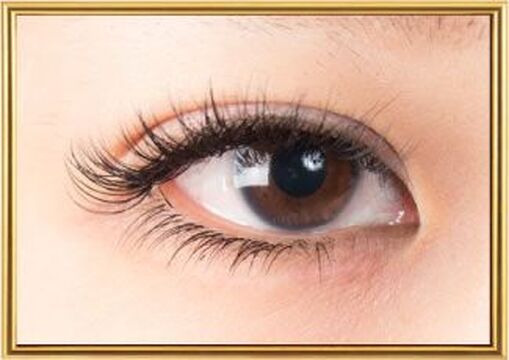 【河内小阪】≪日曜定休≫完全週休2日！社会保険完備！月給24.5万円〜！プライベートも仕事もどっちも充実させたい！そんな方にオススメ！”PRINCESS eyelash ＆ nail 河内小阪店（プリンセスアイラッシュ＆ネイルカワチコサカテン）”からアイリスト（アイデザイナー・まつ毛エクステ）の求人☆☆