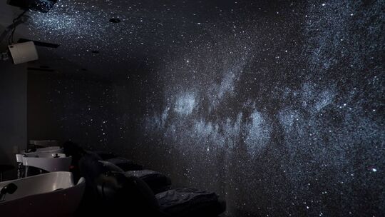 【自由ヶ丘】≪中途アシスタント3か月、新卒は半年でデビュー可能！≫≪営業中レッスン可能！≫≪社会保険完備≫充実の福利厚生！基本レッスンは営業中！独自のカリキュラムで集中的に技術を覚えることで最短3ヶ月でのデビューが出来るサロン「BLOOMA（ブルマ）」からアシスタント（美容師）の求人☆★