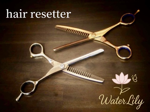 【絹延橋】≪完全週休2日制≫≪土日休みOK≫≪20時までに退勤可能≫≪客単価1万円以上≫≪ママさんの応募歓迎≫ヘアリセッターを使った髪質改善カットがウリのサロン！「Water Lily（ウォーターリリー）」からスタイリスト（美容師）の求人★☆