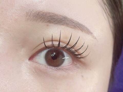 【鶴橋】≪希望休平日は全日OK≫≪月2～3回土日休みOK≫≪土日祝は営業19時まで≫≪髪色ネイル自由≫≪有給休暇取得率100％≫≪パートであれば16時迄の勤務OK≫仕事もプライベートもどちらも両立する事が可能な環境「eyelash LOWE（アイラッシュロー）」からアイリスト（まつげエクステ・まつげパーマ）の求人☆☆