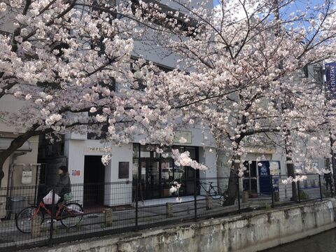 【河内山本】≪月給20万円〜≫≪月8日休み≫≪土日休みOK≫≪最短1年半でデビュー可能≫≪社会保険完備≫≪空き時間にレッスン可能≫堅苦しいルールなどあまりないのであなたの個性を活かして働きませんか？老若男女問わず幅広い年齢のお客様に対応できる技術を学べるサロン！「tane（タネ）」からアシスタント（美容師）の求人☆★