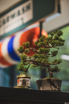 【阿波座】≪有給休暇あり≫≪完全週休2日≫≪社会保険完備≫サウナ、ガレージ、バースペース。時代をリードするひとが集う、インスピレーションに溢れるこの空間でともに学び成長しませんか？「CARWASH BARBER（カーウォッシュバーバー）」からアシスタント（美容師）の求人☆★