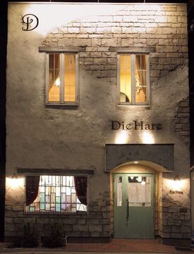 【住之江公園】≪社会保険完備≫≪住宅支度金支給≫未経験・新卒生も歓迎☆高い技術で地域から最新トレンドを発信するオシャレなヘアサロン☆「Die Hare（ディハーレ）」からアシスタント（美容師）の求人★☆