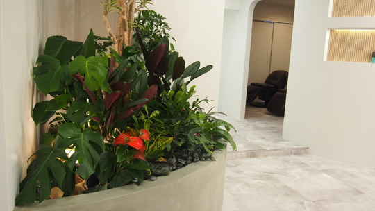 【立川駅】≪寮あり・産休育休実績あり・社会保険完備≫希望者で勉強会も多数実施、スキルアップを目指す方にオススメ！エステメニューも取り扱うトータルビューティーサロン「HairSalon Shian 立川店（ヘアーサロンシアンタチカワテン）」からスタイリスト（美容師）の求人☆★