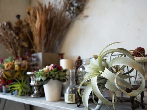 【東垂水】≪レッスンは営業中！≫≪社会保険完備≫≪有給休暇・年末年始休暇あり≫≪パートは週2日～OK≫正社員・パートアルバイトから働き方を選べる！融通が利くのでお子さんがいらっしゃる方でも働きやすさ抜群！営業中レッスンなので、残業なく早く帰れる！「hairsalon kamiya（ヘアーサロンカミヤ） 」からアシスタントの求人☆★