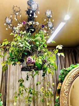 【今池駅】≪高月給・平均退勤時間18〜19時・社会保険完備≫一人ひとりのお客様を大切にしているのでリピーターさんが多いんです！！上質の薬剤でお客様をキレイにして高月給を狙うヘアサロン「Salon de Ciel（サロンドシエル）」からスタイリスト（美容師）の求人☆★☆