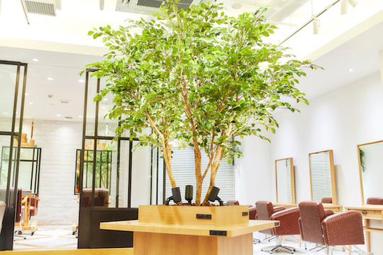 【銀座】≪MVP賞与あり≫≪完全週休2日制≫教育にも注力しているトレンドサロン！トップクラスの美容師さんを目指せる環境です！「LONESS 銀座（ローネスギンザ）」からアシスタント（美容師）の求人☆★