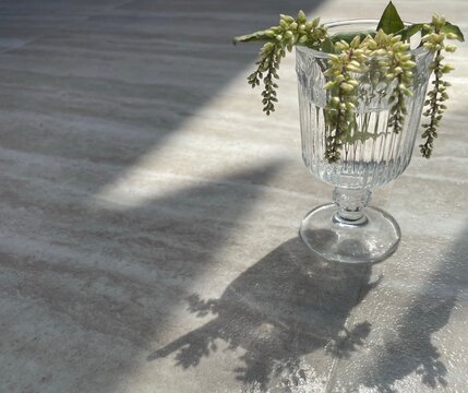 【赤坂駅】≪選べる働き方・社会保険完備・高単価・マンツーマン接客・スタイリストオンリーサロン≫一人ひとりのお客様に向き合うことができます！薬剤にもこだわり丁寧な接客と上質な空間が愛されるヘアサロン「Lei hair&relax（レイヘアーアンドリラックス）」からスタイリスト（美容師）の求人☆★