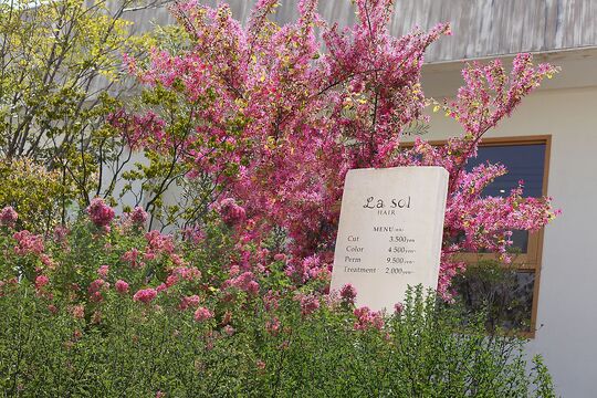 【飾磨】自分を売り込む、距離の近い接客でがっつりお客さまと関わります！熱いオーナーさん、スタッフさんと一緒に頑張りたい方待ってます！撮影にも力を入れてます！「La sol HAIR（ラソールヘアー）」からアシスタント（美容師）の求人☆★☆