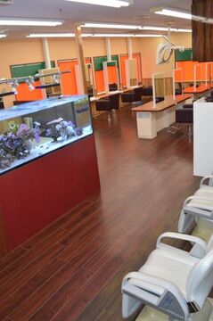 【都府楼前】★★引っ越し準備金10万円★≪社会保険完備・住宅手当あり・完全週休二日制≫退勤時間は18:00ごろ♪ヘアサロン「メデューサ都府楼店（メデューサトフロウテン）」からアシスタント（美容師）の求人☆★☆