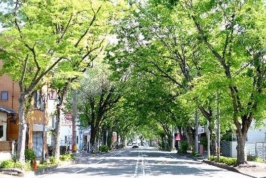 【堺市駅】≪月給25万円以上≫≪社会保険完備≫≪完全週休2日≫大人女性のカジュアル高級サロン。専門特化で簡単、短期間でスキルアップ、美容を長く安心して働ける環境で独立よりも有利。無理な販売は無く、リピーターが多い独自開発の美容液使用で仕事の幅が広がります。“Hair Esthe Salon yak （ヘアエステサロン　ヤック）”からスタイリスト（美容師）の求人☆★