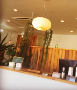 【和泉中央】≪スタイリストデビューまで1年以内≫≪月給20万円≫≪有給休暇あり≫≪社会保険完備≫お仕事もプライベートも充実！長く楽しく美容師をやっていけるお店です！「N-plants 和泉中央店（エヌプランツイズミチュウオウテン）」からアシスタント（美容師）の求人☆☆