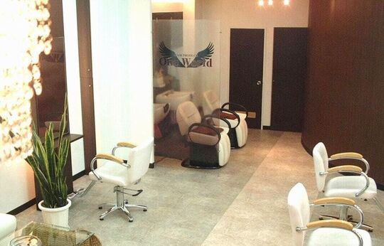 【美園】≪社会保険完備≫≪20時までの退勤可能≫≪有給休暇あり≫個人のスキルに合わせて練習会を実施しており、教育体制がしっかりしているので安心して働けます。アットホームでリラックスできる緊張しないお店。「One World　豊平区 美園店（ワンワールドトヨヒラクミソノテン）」からアシスタント（美容師）の求人☆★