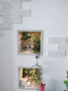 【成増】≪新規入客チャンス多数≫≪豊富な手当あり≫≪休日数選択可能≫≪社会保険完備≫豊富な手当で安心して働ける！「Faith-s（フェイス）」からスタイリスト（美容師）の求人☆★