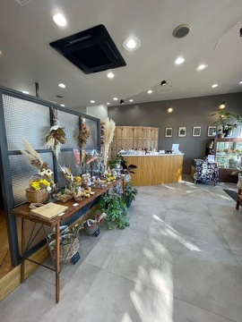 【印西牧の原】≪社会保険完備・営業時間18時まで・土日祝休みOK・住宅手当あり・推し活OK・営業中レッスンOK・週1日～、16時までの勤務OK≫居残り練習はほとんどなし！無理なくあなたのペースでレッスンも進められるのでプライベートも充実できます！「lei marichi ray（マリーチレイ）」からアシスタント（美容師）の求人☆★