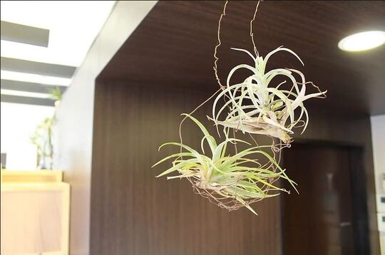 【山口駅】≪社会保険完備≫≪入客チャンス◎≫サロンワーク以外にも着付けや、ブライダルメイクなど学べる技術がいっぱいあります！20時までには退店可能な環境なので、プライベートも充実できるアットホームなお店なんです♪“New Style aila（ニュー スタイル アイラ）”からスタイリスト（美容師）の求人★☆