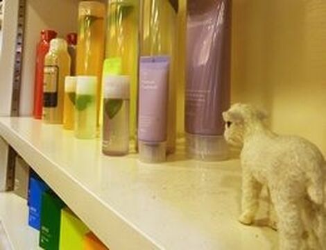 【川西能勢口】≪社会保険完備♪≫≪デビューまで2年以内≫平均退社19時半でプライベート充実！マンツーマンのレッスンで高いスキルを学べます！駅からスグの人気サロン“qutyb the hair(キューティービーザヘアー)”からアシスタントの求人☆★☆