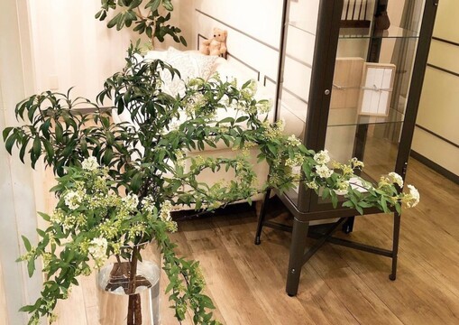 【本通】≪未経験も歓迎！≫≪有給消化率100％≫≪社会保険完備≫≪実働8時間≫長く安心して働ける環境を整えています！大人な女性が通う地域屈指の高単価サロン「hanabi NAMIKI（ハナビナミキ）」からアイリスト（まつげエクステ・まつげパーマ）の求人☆★☆