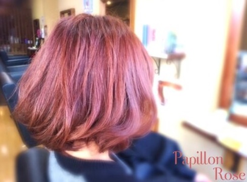 【国体道路】幅広いメニューを取り揃えお客様の希望にお応えします。世代を問わず多くのお客様が来店されるのでたくさん関わりをもつことができるヘアサロン「Papillon Rose（パピヨン ロゼ）」からスタイリスト（美容師）の求人☆★