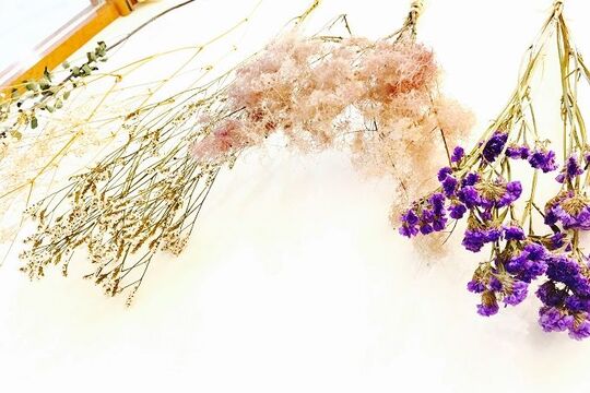 【イオンモール福津】≪完全週休2日制≫≪社会保険完備≫≪住宅手当あり≫充実した福利厚生の中で世界に誇る技術を学べるヘアサロン「morio FROM LONDON イオンモール福津店（モリオフロムロンドンイオンモールフクツテン）」からアシスタント（美容師）の求人★☆