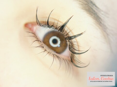 【大阪上本町】≪研修中もお給料発生≫≪ママさんスタッフも活躍中≫≪髪色・ネイル・ピアスなども自由≫流行に合わせた最新メニューは随時導入！未経験の方も経験者の方も学び続けられる環境です！「Salon.Cookie 上本町（サロンドットクッキーウエホンマチ）」からアイリスト（まつげエクステ・まつげパーマ・アイブロウ）の求人☆☆