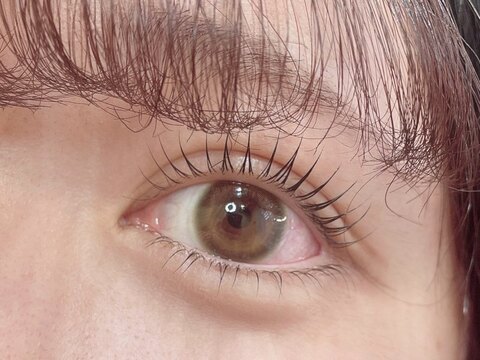 【鶴橋】≪希望休平日は全日OK≫≪月2～3回土日休みOK≫≪土日祝は営業19時まで≫≪髪色ネイル自由≫≪有給休暇取得率100％≫≪パートであれば16時迄の勤務OK≫仕事もプライベートもどちらも両立する事が可能な環境「eyelash LOWE（アイラッシュロー）」からアイリスト（まつげエクステ・まつげパーマ）の求人☆☆