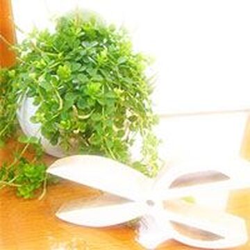 【王寺】≪月給30万円〜＆パートさんは時給1100円スタート★16時までの勤務でもOKです♪平日のみ、扶養内で働きたい方もまずはご相談ください！Jasmin（ジャスミン）からスタイリスト（美容師）の求人☆☆