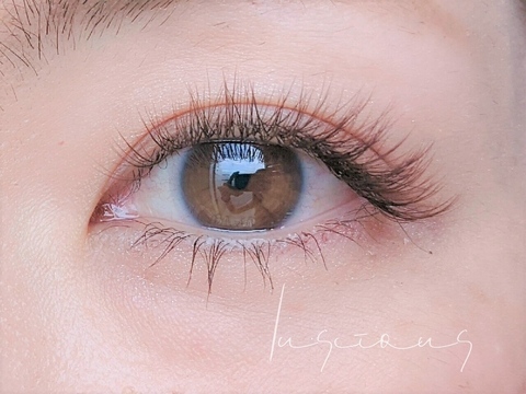 【蓮田】≪未経験・新卒生OK≫≪営業時間18時まで≫≪社会保険完備≫≪有給休暇あり≫仕事とプライベートの両立もスキルアップも叶う！研修制度＆産休育休実績ありで長く安心して働ける環境が整っています。「Luscious 蓮田店（ラシェスハスダテン）」からアイリスト（まつげエクステ・まつげパーマ・アイブロウ）の求人☆★