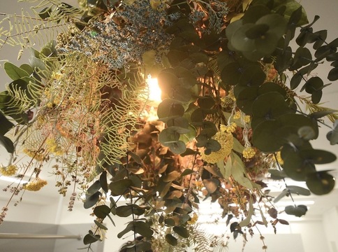 【新小岩】◆18時に営業終了・産休育休実績あり・社会保険完備◆カラー塗布の経験があればブランクのある方でもOK！シンプルな業務内容で手荒れや腰痛に悩む方でも安心！カラー専門店「いろ髪 新小岩店（イロガミシンコイワテン）」からカラーリスト（美容師）の求人☆★