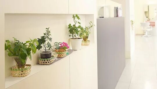 【上山口】≪社会保険完備♪≫≪入客チャンス大≫安心して長く働ける環境が整ったアットホームサロン！慰安旅行や、社内イベントが盛りだくさんでスタッフ同士とっても仲良しなのもおすすめのポイント♪“New Style Four Seasons（ニュースタイルフォーシーズン）”からスタイリスト（美容師）の求人★☆