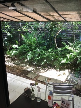 【唐人町】≪社会保険完備・基本残業なし・産休育休実績あり・19時迄に退勤可能・16時迄の勤務OK（パートアルバイト）・営業時間中レッスンOK≫プライベートも充実させながらお仕事できる環境です！大人女性中心に心地の良い空間を提供するヘアサロン「shaka（シャカ）」からアシスタント（美容師）の求人☆★