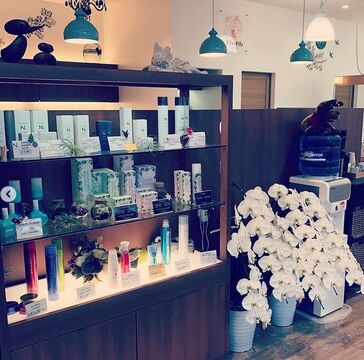 【宮崎駅】≪月休8日・有給休暇あり・社会保険完備≫教育担当者さんから直接技術を学び、頑張り次第では早期デビューも可能！！リーズナブルな料金体系なので毎月多くのお客様と関わる事ができるヘアサロン「メリィ・メリィヘアーハウス錦町店（メリィ・メリィヘアーハウスニシキマチテン）」からアシスタント（美容師）の求人☆★