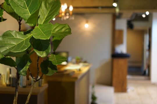 【二条】≪社会保険完備≫≪有給休暇あり≫働きやすい環境で個性を生かせます！こじんまりしていて落ち着いた空間のサロン「carpa（カルパ）」からスタイリスト（美容師）の求人☆★