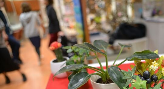 【大山】≪社会保険完備≫≪完全週休2日制≫スタイリストデビューは平均1年半！充実した福利厚生アリ！！長くお仕事出来る環境のヘアサロン「RISE（ライズ）」からアシスタント（美容師）の求人☆★☆