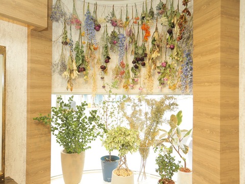 【JR三田】≪平均19時半退勤≫≪社会保険完備≫未経験・新卒生OK！営業中レッスンOKのため、平均2年ほどでデビュー可能です！「Jor（ヨル）」からアシスタント（美容師）の求人☆★