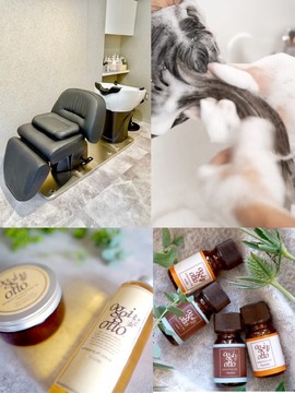 【町田駅】≪正社員、業務委託から選択可能≫≪土日休みOK≫≪自由出勤制≫≪マンツーマン接客≫≪20時までに退勤可能≫≪社会保険完備≫美容師としてのあなたの強み、個性を伸ばすサロン経営！完全予約制のマンツーマンサロン！自由な働き方を叶えながら高単価でしっかり稼げる「5 Noble ct.（ファイブノーブルカラット）」からスタイリストの求人☆★